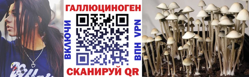 Псилоцибиновые грибы прущие грибы  купить   Юрюзань 